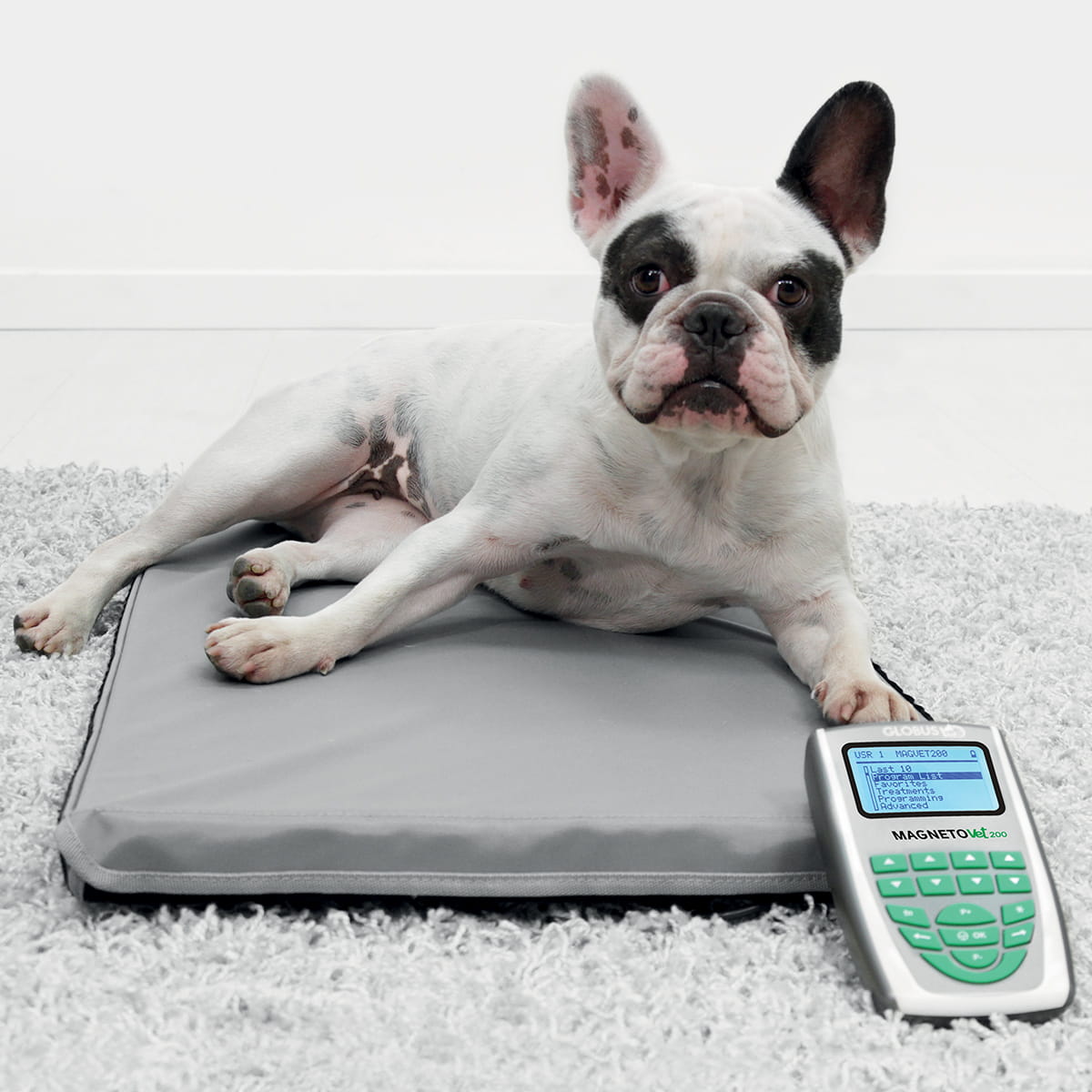 Magnetfeldtherapie-Matte für Tiere – Zubehör zum MagnetoVet 200