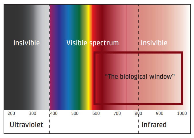 Laserlicht und unterschiedliche Wellenlängen